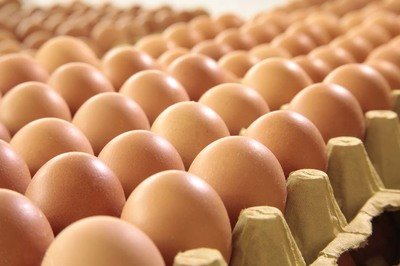 廊坊鸡蛋检测价格,鸡蛋检测机构,鸡蛋检测项目,鸡蛋常规检测